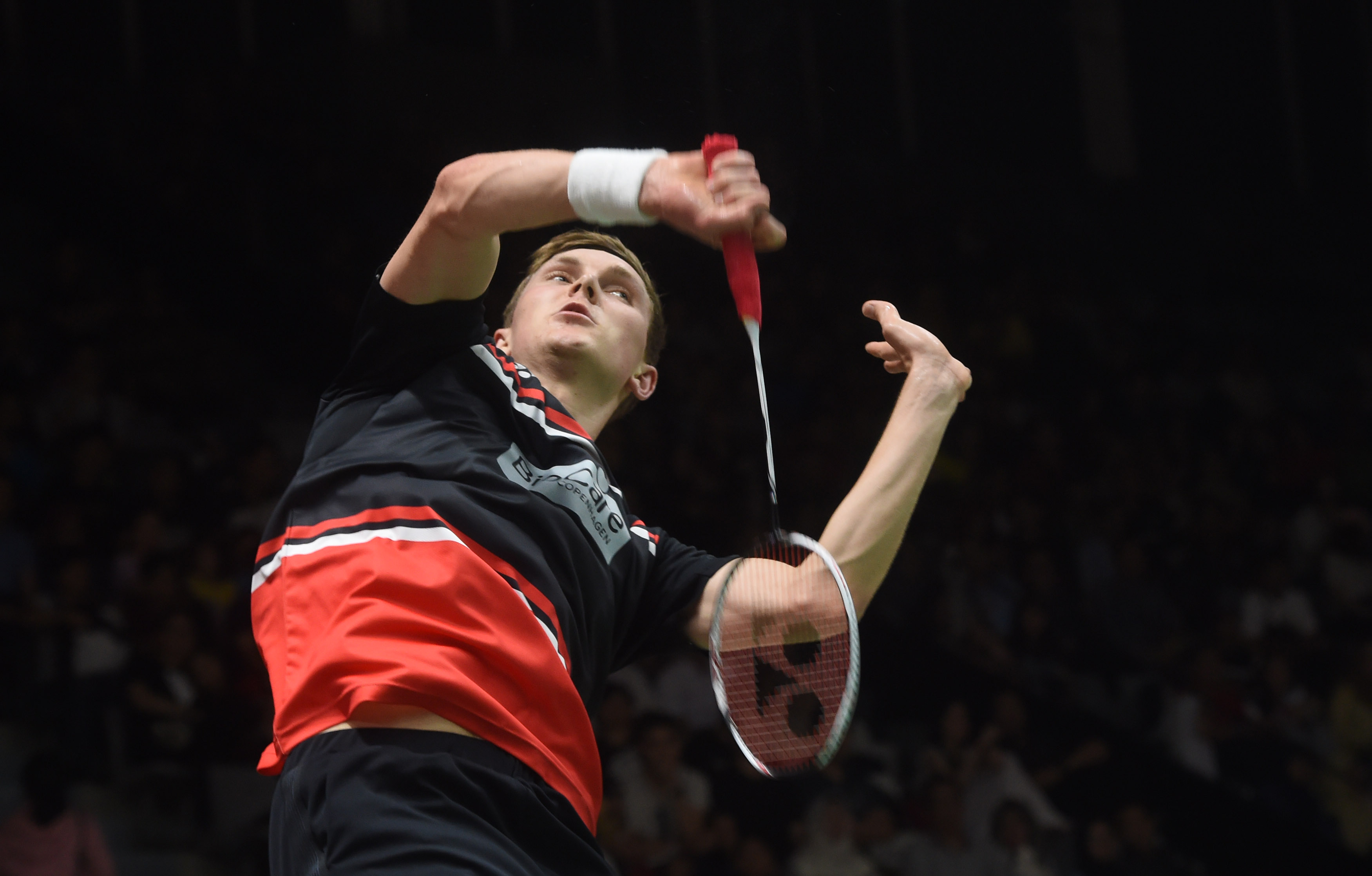 的新亮点 的新亮点